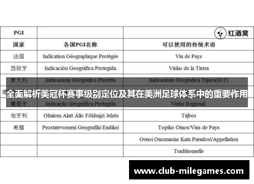 全面解析美冠杯赛事级别定位及其在美洲足球体系中的重要作用